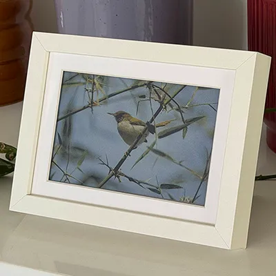 Standalone E-Ink Picture Frame